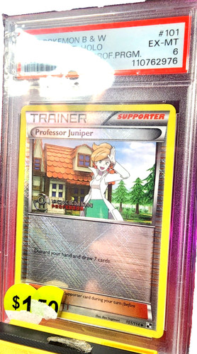 2013 pokemon professor - 2013,