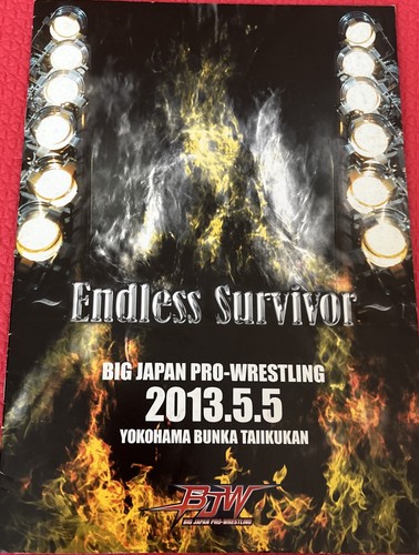 Bjw endless survivor program - endless,